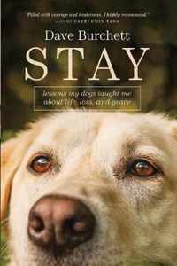 Stay