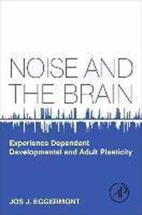 Noise and the Brain