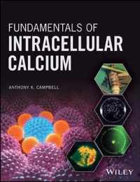 Fundamentals of Intracellular Calcium