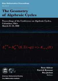 The Geometry of Algebraic Cycles