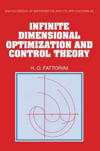 Infinite Dimensional Optimization and Control Theory