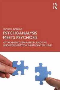 Psychoanalysis Meets Psychosis