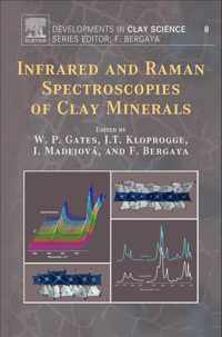 Infrared and Raman Spectroscopies of Clay Minerals