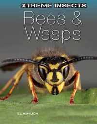 Bees & Wasps