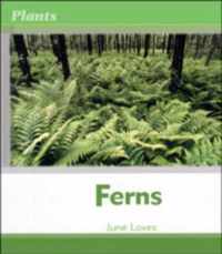 Ferns