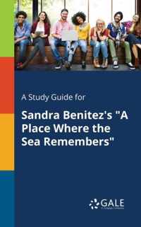 A Study Guide for Sandra Benitez's A Place Where the Sea Remembers