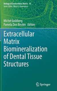 Extracellular Matrix Biomineralization of Dental Tissue Structures