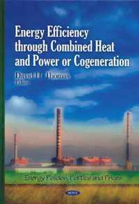 Energy Efficiency Through Combined Heat & Power or Cogeneration