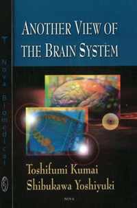 Another View of the Brain System