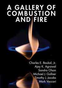 A Gallery of Combustion and Fire