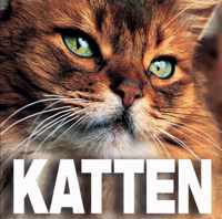 Katten Kubusboek