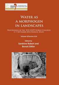 Water as a morphogen in landscapes/L'eau comme morphogene dans les paysages