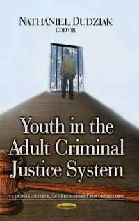 Youth in the Adult Criminal Justice System