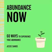 Abundance Now