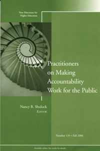 Practitioners on Making Accountability Work for the Public