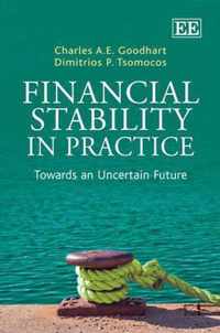 Financial Stability In Practice