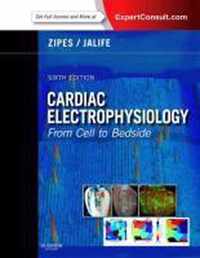 Cardiac Electrophysiology