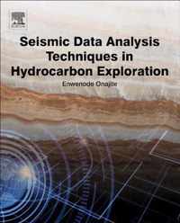 Seismic Data Analysis Techniques in Hydrocarbon Exploration