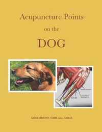 Acupuncture Points on the Dog