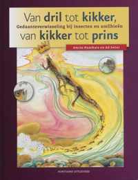 Van dril tot kikker, van kikker tot prins