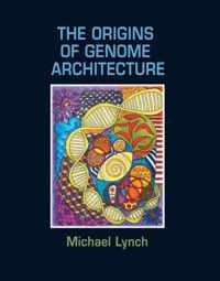 The Origins of Genome Architecture