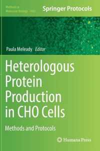 Heterologous Protein Production in CHO Cells