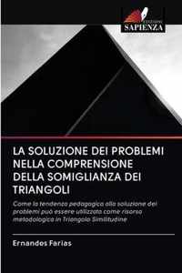 La Soluzione Dei Problemi Nella Comprensione Della Somiglianza Dei Triangoli