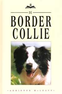 De border collie