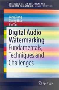 Digital Audio Watermarking