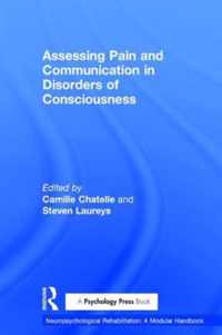 Assessing Pain and Communication in Disorders of Consciousness