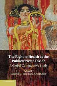 The Right to Health at the Public/Private Divide