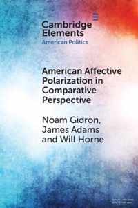 American Affective Polarization in Comparative Perspective