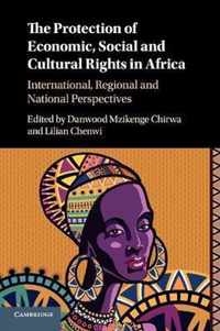 The Protection of Economic, Social and Cultural Rights in Africa