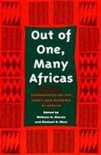 Out of One, Many Africas