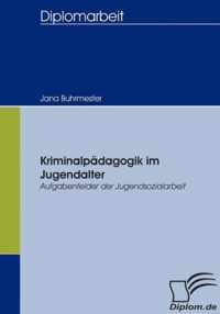 Kriminalpadagogik im Jugendalter - Aufgabenfelder der Jugendsozialarbeit