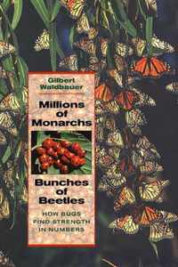 Millions of Monarchs, Bunches of Beetles