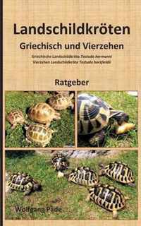 Landschildkroeten Griechisch und Vierzehen