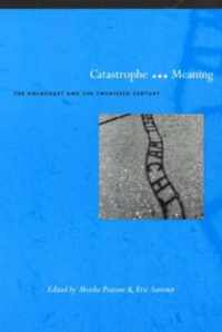 Catastrophe and Meaning