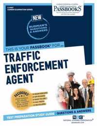 Traffic Enforcement Agent