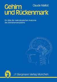 Gehirn und Ruckenmark