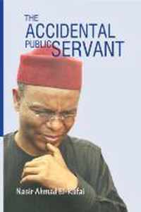 The Accidental Public Servant