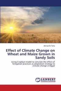 Effect of Climate Change on Wheat and Maize Grown in Sandy Soils