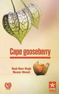 Cape Gooseberry