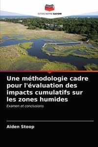 Une methodologie cadre pour l'evaluation des impacts cumulatifs sur les zones humides