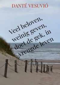 Veel beloven, weinig geven, doet de gek, in vreugde leven