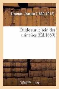 Etude Sur Le Rein Des Urinaires