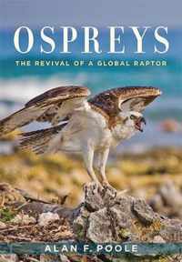 Ospreys