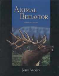 Animal Behavior