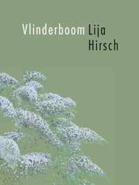 Vlinderboom