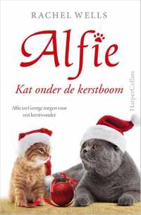 Kat onder de kerstboom